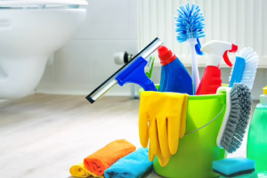 Messie Reinigung Landau In Der Pfalz